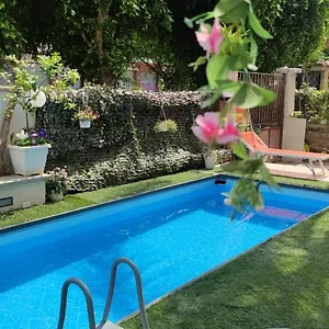 Casa Le Rose Palermo